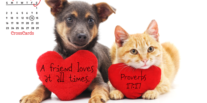 1440x900 Beautiful February Desktop & Mobile Wallpaper - Free Backgrounds