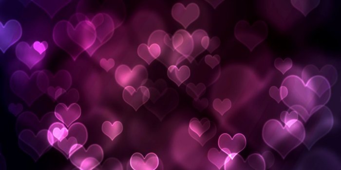 1216x931 Cat Look Bokeh Hd Wallpaper | All Wallpapers Desktop