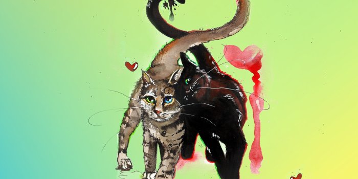 2560x1600 paintings, Love, Cats, Animals, Hearts, Water, Colors Wallpapers