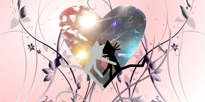 1920x1440 Cat Kittycat Diamond Heart HD desktop wallpaper : Widescreen