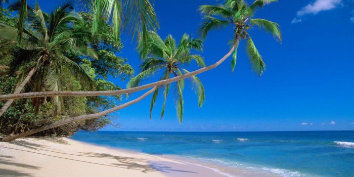 1244x700 Nature Fiji beaches wallpaper | 1920x1080 | 221042 | WallpaperUP