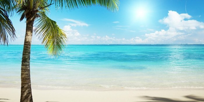 1920x1200 68+ Beach Background Wallpapers on WallpaperPlay