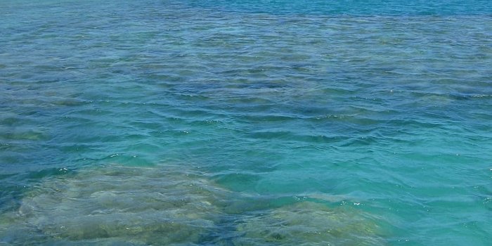 910x1213 HD wallpaper: white sand beach, fiji, boot, palm trees, holiday