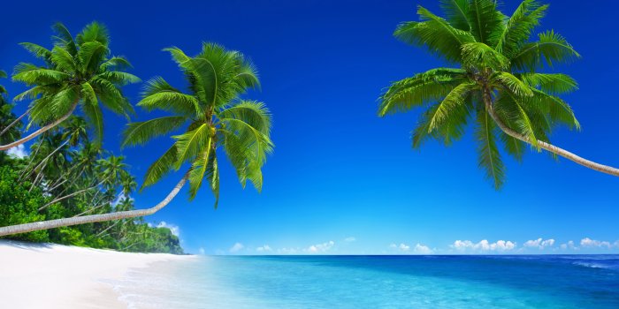 5120x2880 Tropical Beach Paradise 5K Wallpapers in jpg format for free download