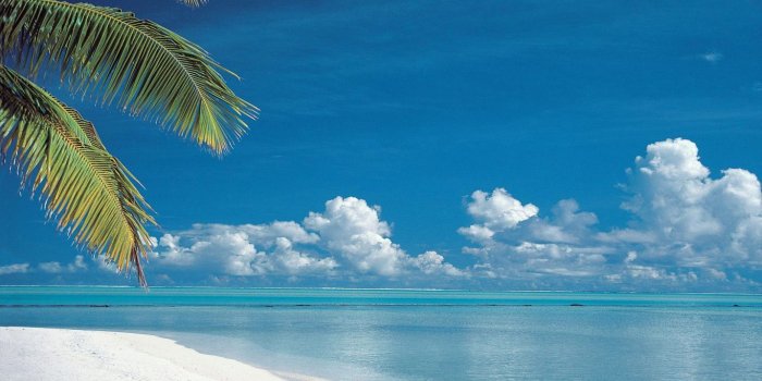 1366x768 59+] Free Desktop Wallpaper of Beaches on WallpaperSafari
