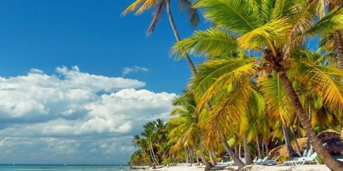 720x1280 Download Tropical Beach Wallpaper by DLJunkie - 2f - Free on ZEDGE
