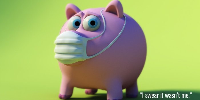 1920x1200 56+ Baby Pigs