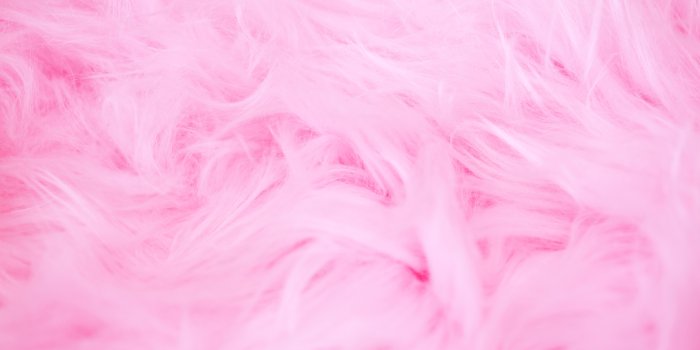 5616x3744 Girly Wallpapers: Free HD Download [500+ HQ] | Unsplash