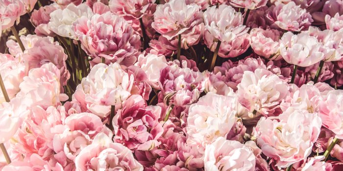 5853x3902 Girly Wallpapers: Free HD Download [500+ HQ] | Unsplash