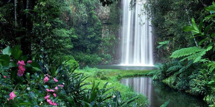 1600x1200 forest flower gardens | landscapes garden rivers trees forest