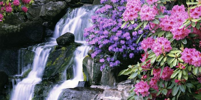 1920x1080 Most Beautiful Waterfalls with Flowers | Download 1920x1080