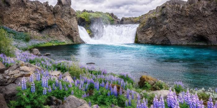 2560x1707 Brown and green trees near body of water, water, waterfall