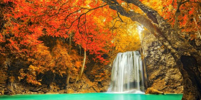 1920x1200 landscape, Nature, Colorful, Waterfall, Trees, Fall, Red, Yellow