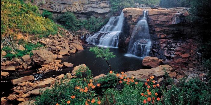 1920x1200 Waterfalls Rocks Flowers Trees wallpapers | Waterfalls Rocks