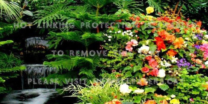 1024x768 waterfall garden trees coloured flowers