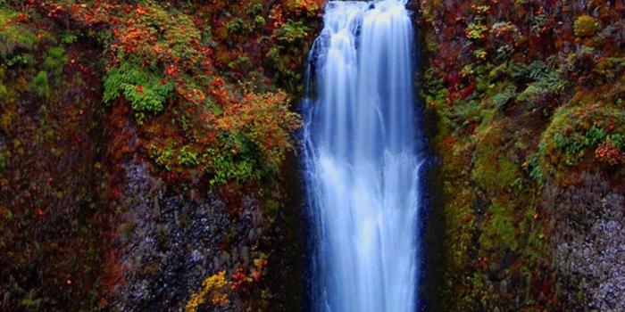 1280x1080 Nature Waterfall Beautiful Flowers Lovely Trees Images - Multnomah
