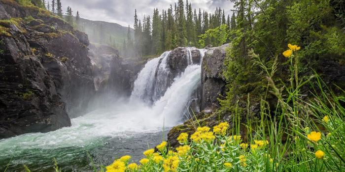 1332x850 Wallpaper forest, clouds, trees, flowers, mountains, river, stones
