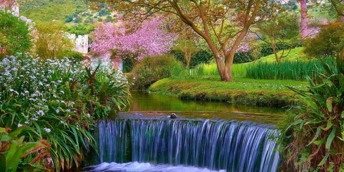 1920x1080 Creek, garden, waterfall, flora, plant, flower, botanical garden
