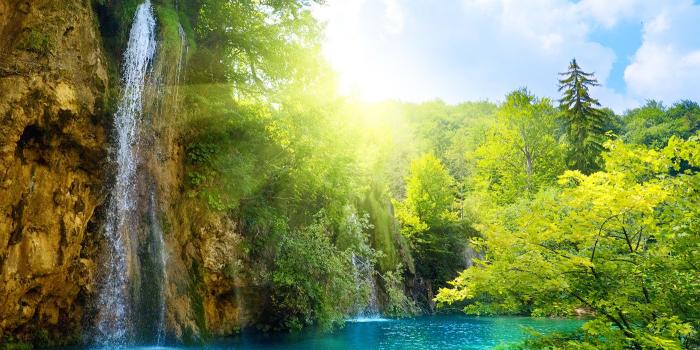 1400x937 Lush trees and a waterfall pool 50073 - Flower Wallpapers - Flowers