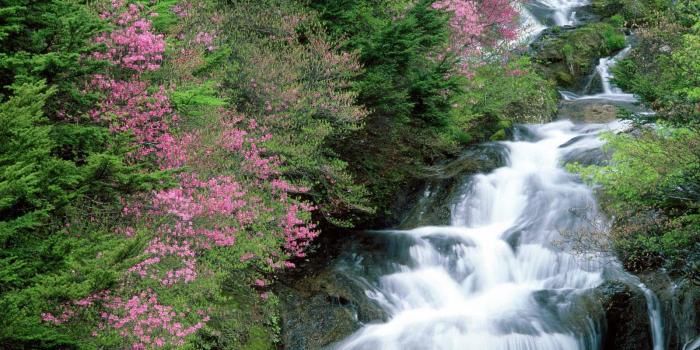 1600x1200 Trees Flowers Waterfalls wallpaper | nature and landscape