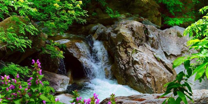 1920x1200 Wallpaper Waterfall, rocks, trees, flowers 1920x1200 HD Picture, Image