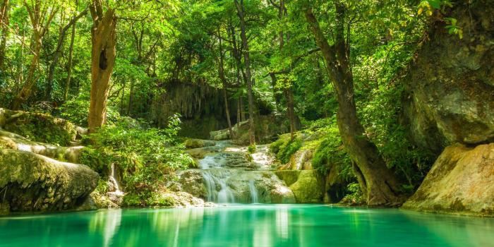 4000x2671 Rocks, Jungle, Waterfall, Stream, Tropical, HD Flower Images