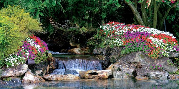 3264x2448 waterfall, trees, viewes, Flowers - Beautiful views wallpapers