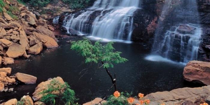 768x1024 768x1024 Waterfalls Rocks Flowers Trees Ipad wallpaper