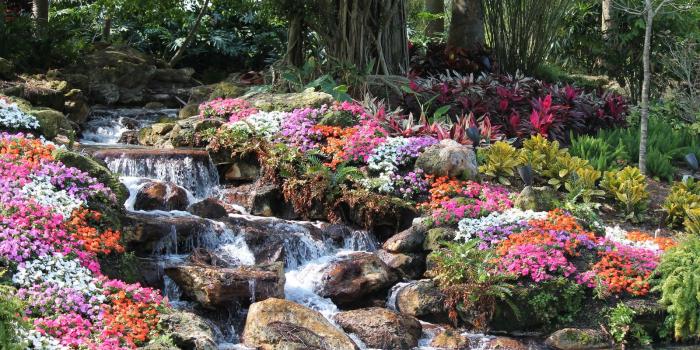 1600x1067 Download wallpaper waterfall, Trees, beds of flowers, interior