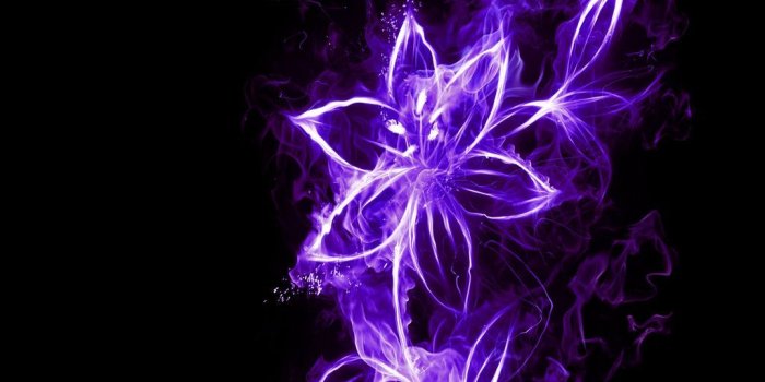 1024x768 Neon Backgrounds | Free Neon Flower Wallpaper - Download The Free