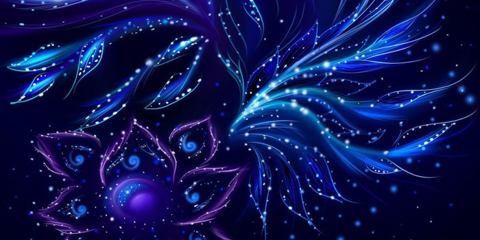 1211x800 Neon Flowers Wallpapers - Top Free Neon Flowers Backgrounds