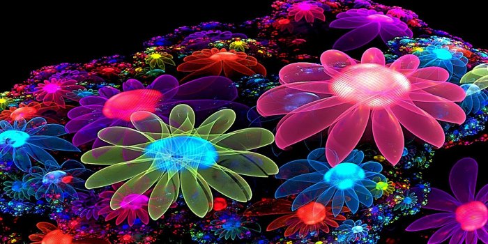 1920x1080 Neon Flowers Wallpapers - Top Free Neon Flowers Backgrounds
