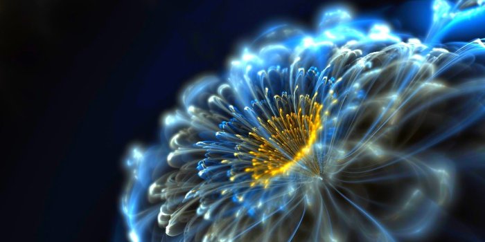 1600x1000 Neon Wallpapers for Android - Neon Flower Wallpapers | Neon