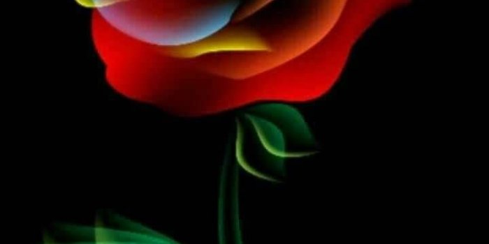 720x1280 Neon flower wallpaper by KellieKat69 - 3f - Free on ZEDGE™