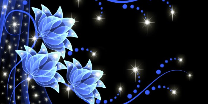 2595x1920 Neon Backgrounds Flowers - 2595x1920 Wallpaper - Ecopetit.cat