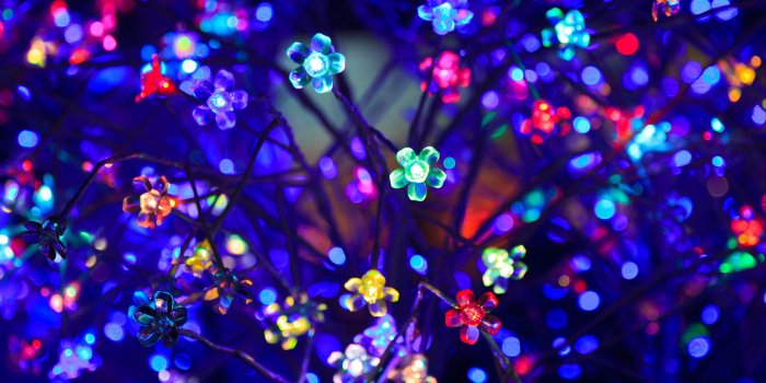 3840x2160 Download wallpaper 3840x2160 bulbs, flowers, neon, light, lighting