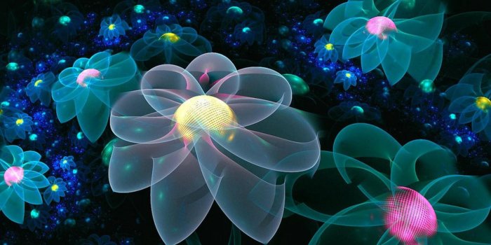 1920x1080 Neon Flowers Wallpapers - Top Free Neon Flowers Backgrounds