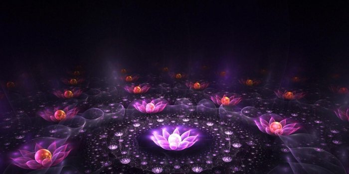 1280x800 Neon Flowers 13296 1280x800px