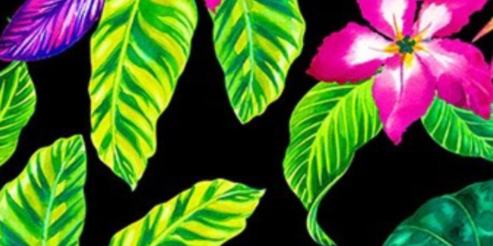 1242x2208 Neon flowers | Neon flowers, Wallpaper iphone neon, Flower wallpaper