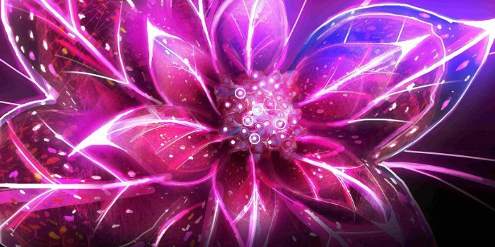 1280x800 Neon Flowers Wallpapers - Top Free Neon Flowers Backgrounds
