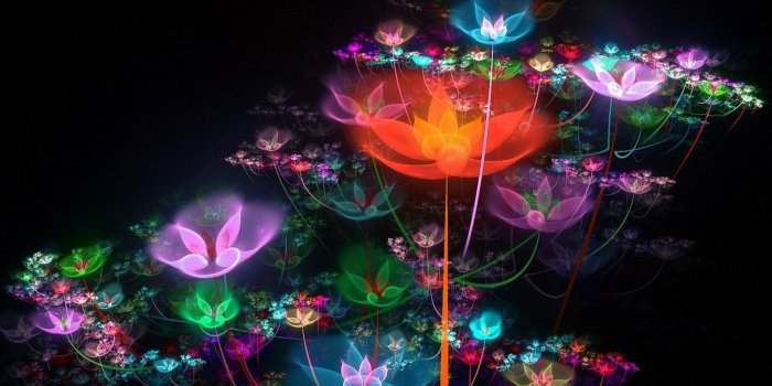 1920x1080 colorful, Bright, Flowers, Sparkles, Neon Wallpapers HD / Desktop