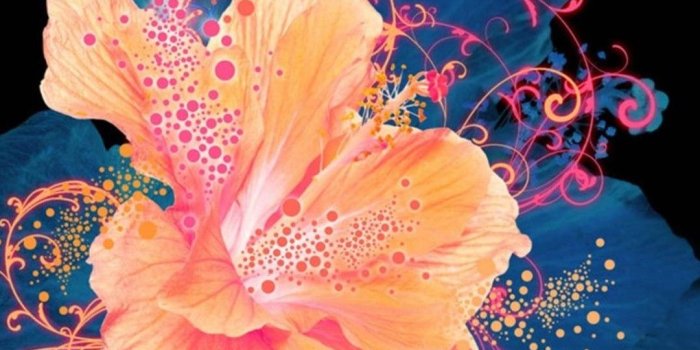 1080x1920 HD Abstract Flower Neon Painting Android Wallpaper free download