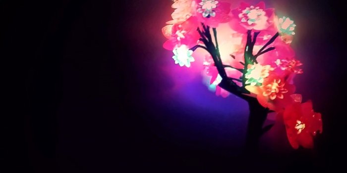 1366x768 Neon Flowers 2 Ultra HD Desktop Background Wallpaper for 4K UHD TV