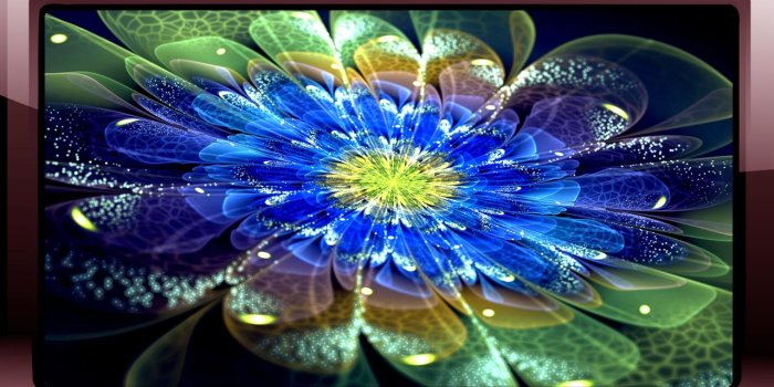 1280x720 Neon Flowers Wallpaper for Android - APK Download