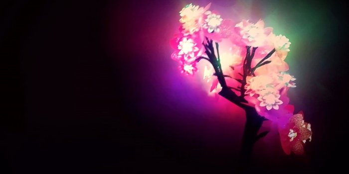 1366x768 Neon Flowers Ultra HD Desktop Background Wallpaper for 4K UHD TV