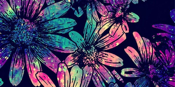 1081x1920 Neon Flowers Wallpapers - Top Free Neon Flowers Backgrounds