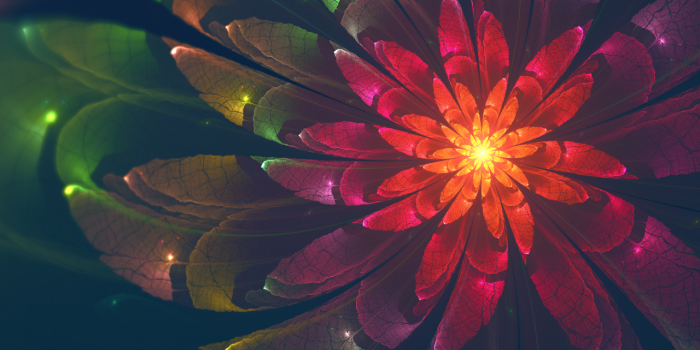 1280x720 Wallpaper Fractal, Flower, Colorful, Neon, HD, 4K, Abstract