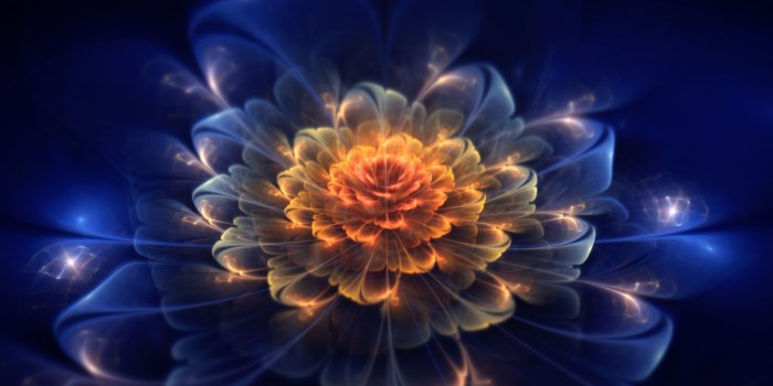 1920x1080 Cool Neon Flowers-wallpaper-15.jpg