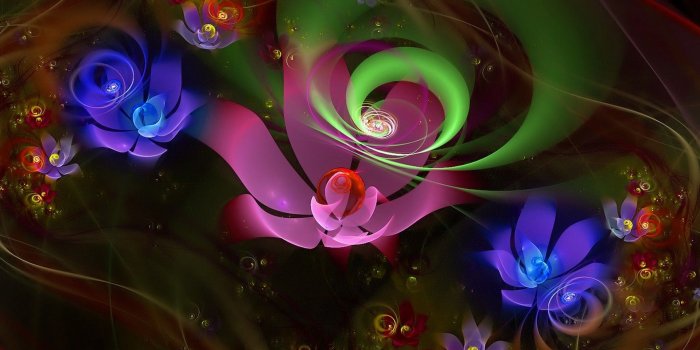 1920x1080 Neon flowers - Phone wallpapers