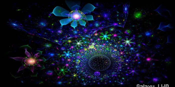 1280x720 Neon Flowers Wallpaper for Android - APK Download